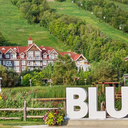 Blue Mtn Chalet With A Sauna, Sleeps 20 Villa Blue Mountains Eksteriør billede