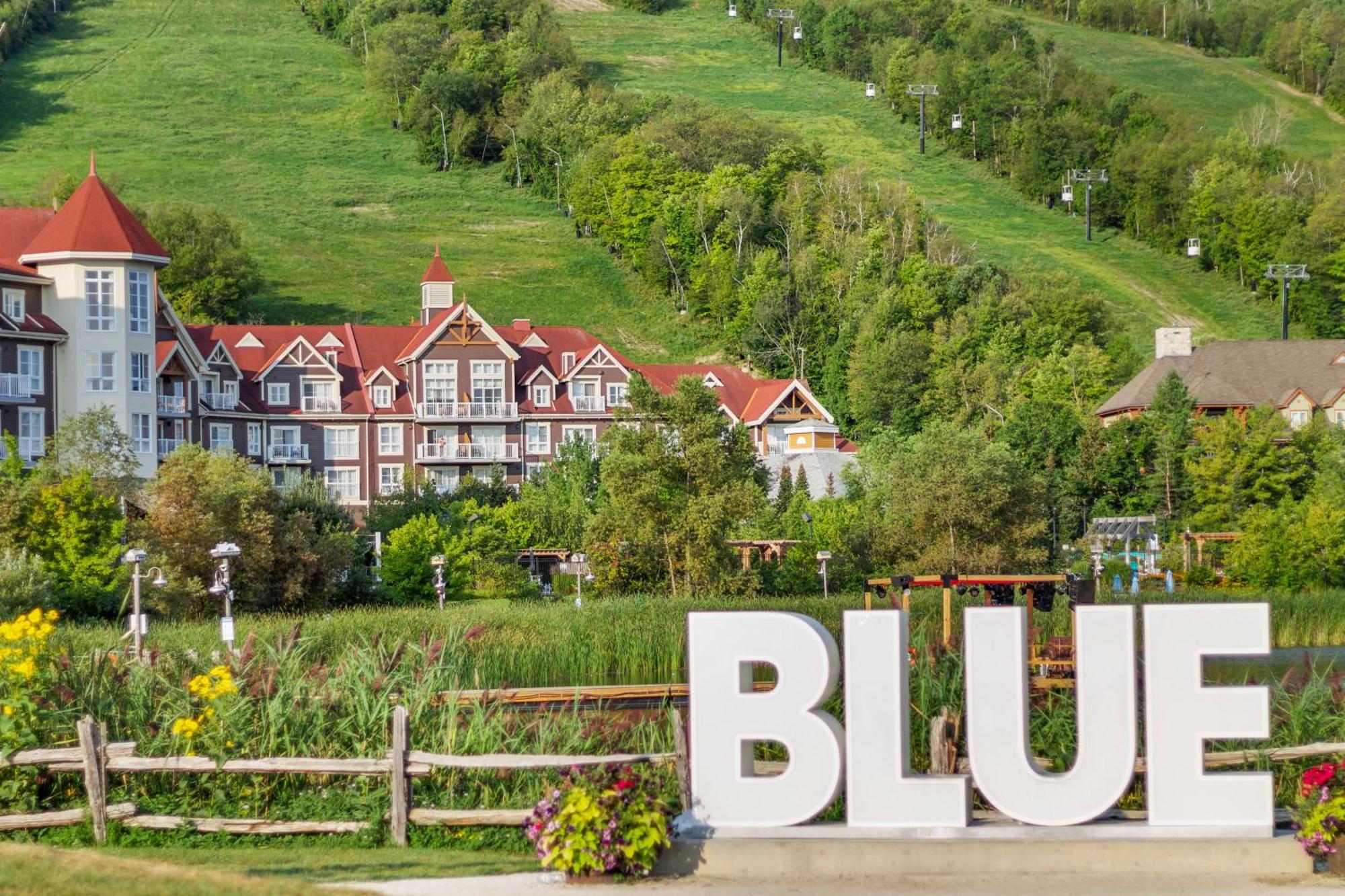 Blue Mtn Chalet With A Sauna, Sleeps 20 Villa Blue Mountains Eksteriør billede